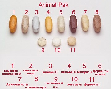 Universal Nutrition Animal Pak 44 пакетика