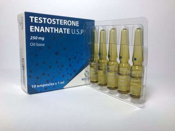 TESTOSTERON ENANTHATE 10amp. 250mg (BIOLEX)